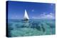 Dhow on Clear Seas-Paul Souders-Premier Image Canvas