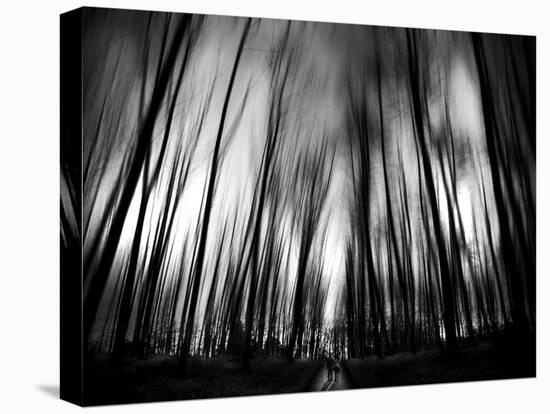 Diagona-Josh Adamski-Premier Image Canvas