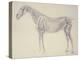 Diagram from 'The Anatomy of the Horse' (Engraving)-George Stubbs-Premier Image Canvas