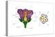 Diagram on Right Shows Arrangement of Floral Parts in Cross Section at the Flower's Base. Plants-Encyclopaedia Britannica-Stretched Canvas