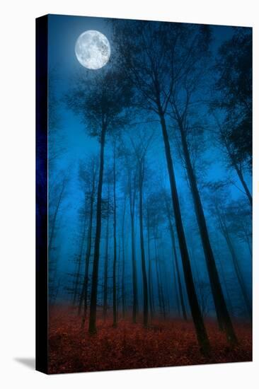 Dialogue with the moon-Philippe Sainte-Laudy-Premier Image Canvas