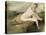 Diane au bain-Jean Antoine Watteau-Premier Image Canvas