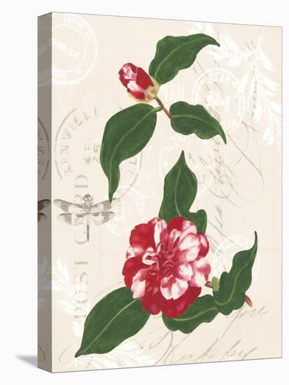 Dianne's Camellias I-Dianne Miller-Stretched Canvas