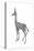 Dibatag (Ammodorcas Clarkei), Mammals-Encyclopaedia Britannica-Stretched Canvas