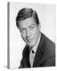 Dick Van Dyke, The Dick Van Dyke Show (1961)-null-Stretched Canvas