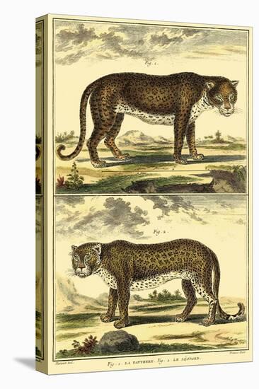 Diderot's Panther and Leopard-Denis Diderot-Stretched Canvas