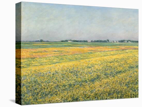 Die Ebene um Gennevilliers, Gelbe Felder (La plaine de Gennevilliers, champs jaunes). 1884-Gustave Caillebotte-Premier Image Canvas