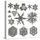 Different Forms of Snowflakes, 1895 (Litho)-German School-Premier Image Canvas