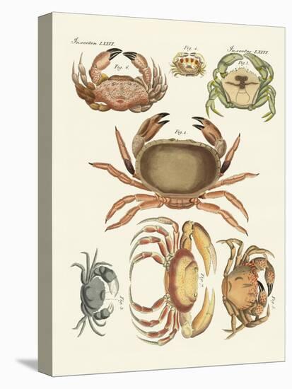 Different Kinds of Crabs-null-Premier Image Canvas