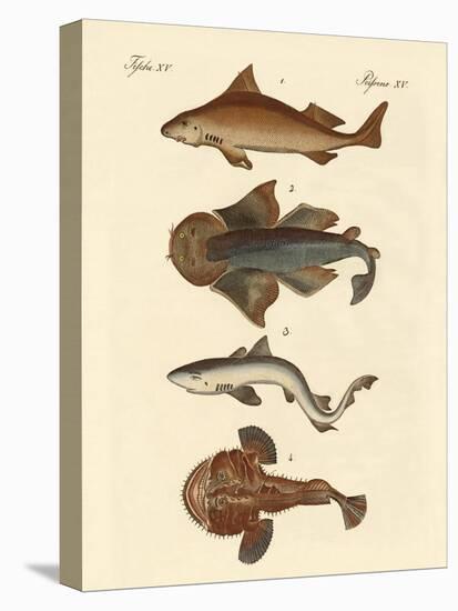 Different Kinds of Sharks-null-Premier Image Canvas