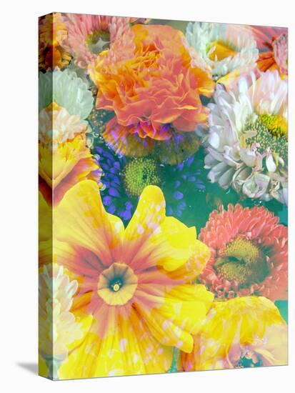 Different Summer Blossoms in Green Water in Yellow Orange White and Pink Tones-Alaya Gadeh-Premier Image Canvas