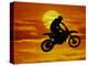 Digital Composite of Motocross Racer Doing Jump-Steve Satushek-Premier Image Canvas