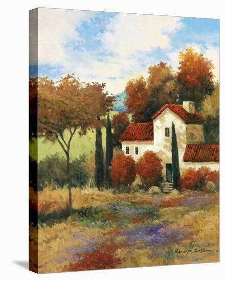 Dijon Farmhouse-Kanayo Ede-Stretched Canvas