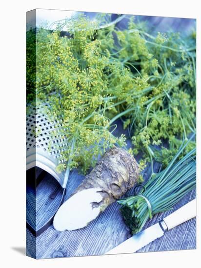 Dill, Horseradish and Chives-Stefan Braun-Premier Image Canvas