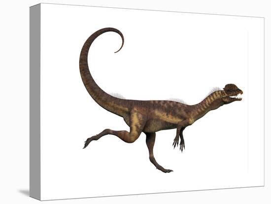 Dilophosaurus Dinosaur-Stocktrek Images-Stretched Canvas
