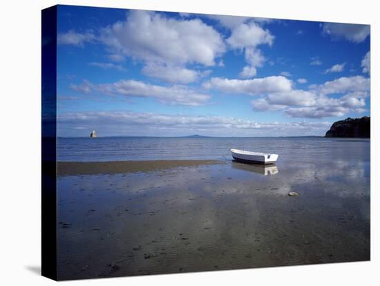 Dinghy on the Beach, Auckland, New Zealand-null-Premier Image Canvas