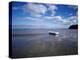 Dinghy on the Beach, Auckland, New Zealand-null-Premier Image Canvas