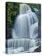 Dingman's Falls and Forest, Dingman's Ferry, Pennsylvania, Usa-Jay O'brien-Premier Image Canvas