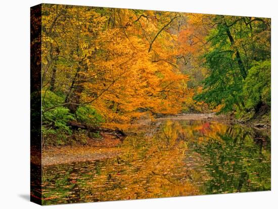 Dingmans Ferry, Pennsylvania, USA-Jay O'brien-Premier Image Canvas