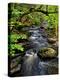 Dingmans Ferry, Philadelphia, Pennsylvania, USA-Jay O'brien-Premier Image Canvas