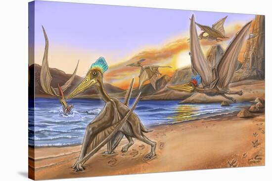 Dino Tracks 6-Cathy Morrison Illustrates-Premier Image Canvas