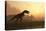 Dinosaur In Landscape-Mike_Kiev-Premier Image Canvas