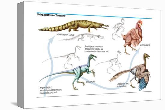 Dinosaur-Encyclopaedia Britannica-Stretched Canvas