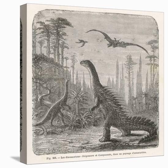 Dinosaurs of the Jurassic Period: a Stegosaurus with a Compsognathus in the Background-A. Jobin-Stretched Canvas