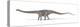 Diplodocus Dinosaur, Artwork-null-Premier Image Canvas