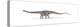 Diplodocus Dinosaur on White Background-null-Stretched Canvas