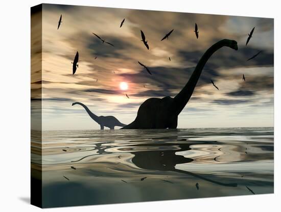 Diplodocus Dinosaurs Bathe in a Large Body of Water-Stocktrek Images-Premier Image Canvas