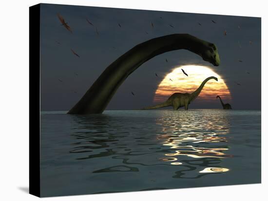 Diplodocus Dinosaurs Bathe in a Large Body of Water-Stocktrek Images-Premier Image Canvas
