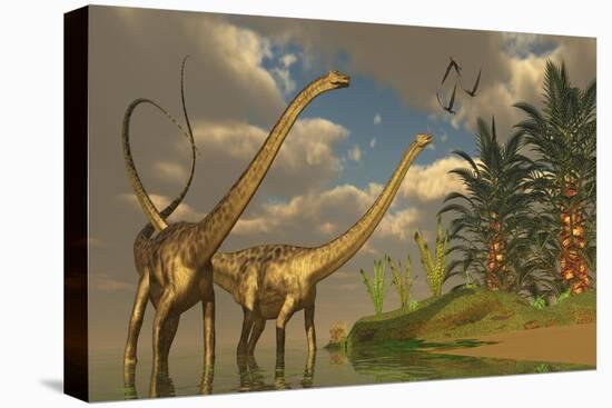 Diplodocus Dinosaurs in a Mating Ritual-null-Stretched Canvas