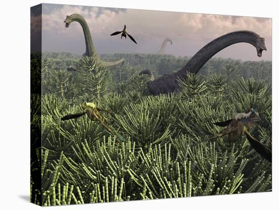 Diplodocus Dinosaurs of the Sauropod Family-Stocktrek Images-Premier Image Canvas