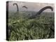 Diplodocus Dinosaurs of the Sauropod Family-Stocktrek Images-Premier Image Canvas