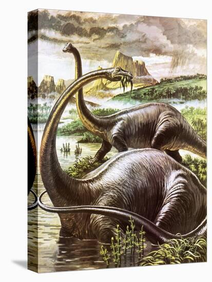 Diplodocus-Payne-Premier Image Canvas