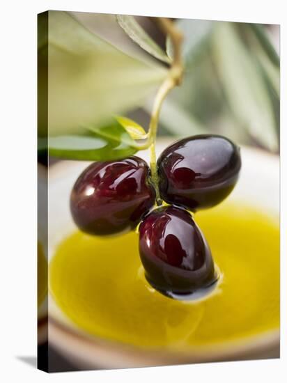 Dipping Olive Sprig with Black Olives in Olive Oil-null-Premier Image Canvas