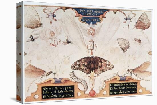 Diptych with Flowers and Insects, 1591-Joris Hoefnagel-Premier Image Canvas