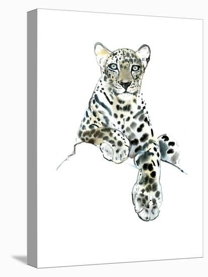 Direct (Arabian Leopard), 2015-Mark Adlington-Premier Image Canvas