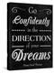 Direction of your Dreams-null-Stretched Canvas