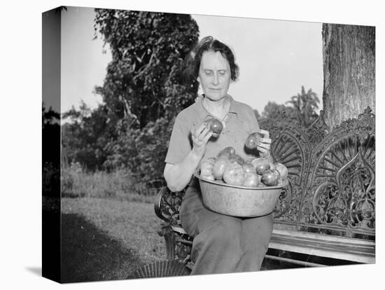 Director of the Mint Nellie Tayloe Ross relaxes on her Maryland farm, 1938-Harris & Ewing-Premier Image Canvas