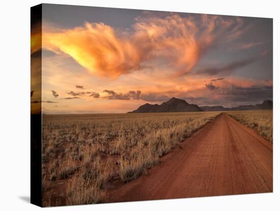 Dirt Road in the Desert at Sunset with a Colorful Sky, Tiras Mountains, Namibia-Frances Gallogly-Premier Image Canvas