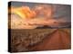 Dirt Road in the Desert at Sunset with a Colorful Sky, Tiras Mountains, Namibia-Frances Gallogly-Premier Image Canvas