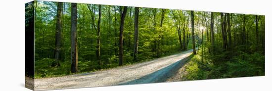 Dirt Road Passing Through a Forest, Great Smoky Mountains National Park, Blount County, Tennesse...-null-Premier Image Canvas