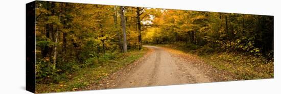 Dirt Road Passing Through a Forest, New Hampshire, USA-null-Premier Image Canvas