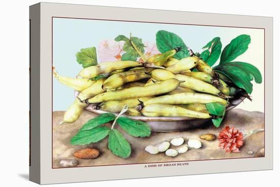 Dish of Broad Beans-Giovanna Garzoni-Stretched Canvas