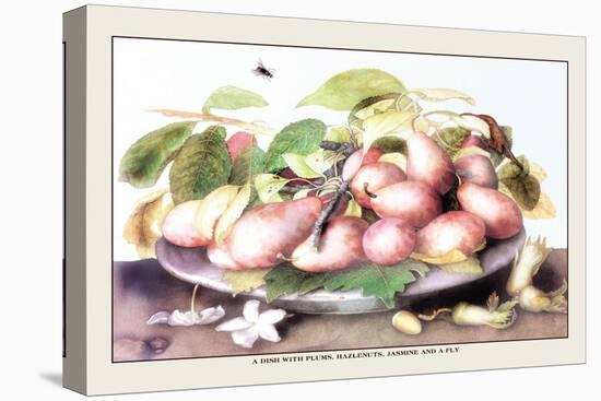 Dish of Plums, Nuts, Jasmine and a Fly-Giovanna Garzoni-Stretched Canvas