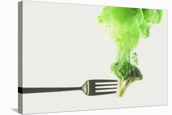 Disintegrated Broccoli-Dina Belenko-Stretched Canvas