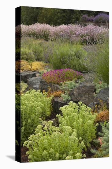 Display Garden at Lavender Festival, Sequim, Washington, USA-Merrill Images-Premier Image Canvas