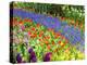 Display garden in full bloom-Terry Eggers-Premier Image Canvas